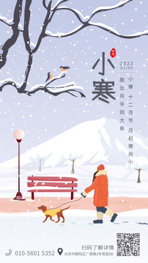 简约文艺节日节气小寒插画雪冬天手机海报