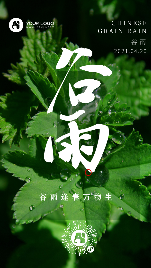 简约文艺传统二十四节气谷雨手机海报