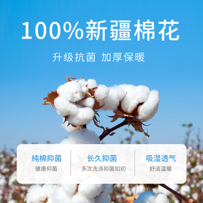 新疆棉商品主图