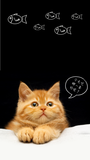猫咪可爱手机壁纸