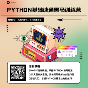 Python训练营方形手机海报