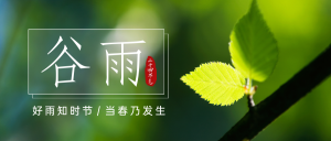 4.20谷雨节日祝福图文公众号首图