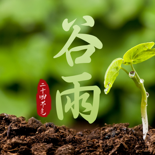 4.20谷雨节日祝福图文公众号次图