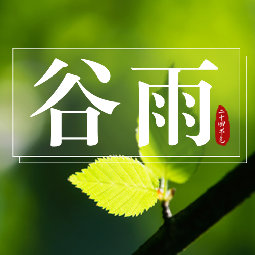 4.20谷雨节日祝福图文公众号次图