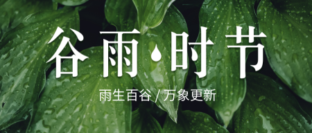 清新谷雨时节微信公众号首图