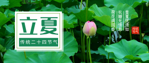 清新文艺传统二十四节气立夏公众号封面首图