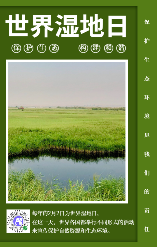 绿色世界湿地日宣传手机海报