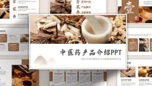 棕色中国风医疗保健产品介绍PPT模板